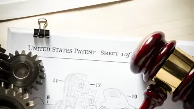 Patent Hakkı